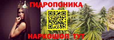 ПСИЛОЦИБИНОВЫЕ ГРИБЫ Малгобек